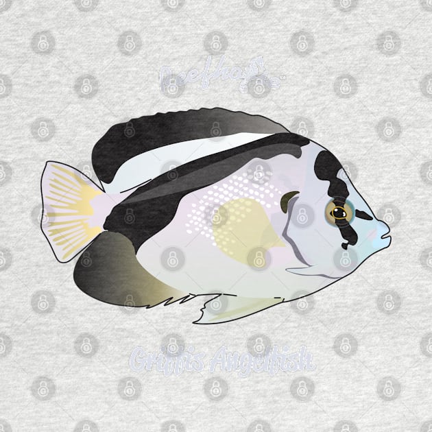 Griffis Angelfish by Reefhorse